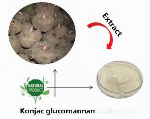 Glucomanano em pó de Konjac Natural CAS NO 37220-17-0 Puro extrato de raiz de Konjac