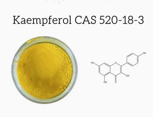 Suplemento de Saúde em Pó de Kaempferol Extrato de Galanga CAS 520-18-3 Puro Natural