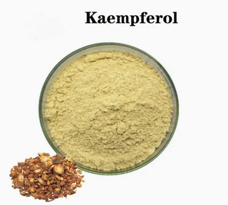 Suplemento de Saúde em Pó de Kaempferol Extrato de Galanga CAS 520-18-3 Puro Natural