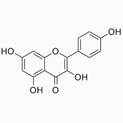 Suplemento de Saúde em Pó de Kaempferol Extrato de Galanga CAS 520-18-3 Puro Natural