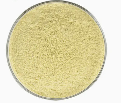 Suplemento de Saúde em Pó de Kaempferol Extrato de Galanga CAS 520-18-3 Puro Natural