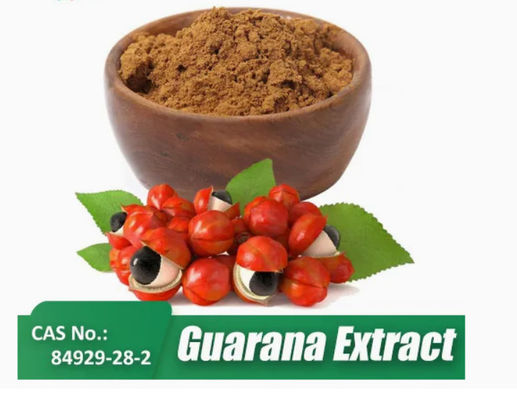 Suplemento de Saúde Extracto de Paullinia Cupana Cas n.o 84929-28-2 Extratos de sementes de guaraná