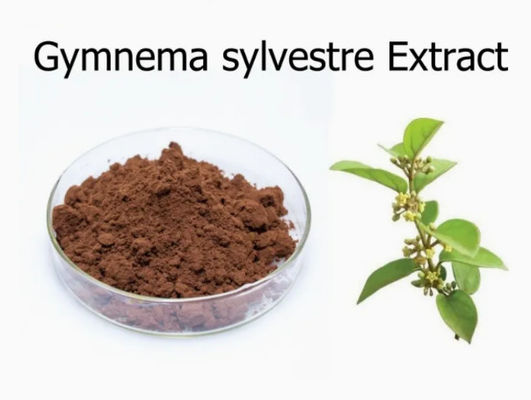Extracto vegetal Gymnema Sylvestre Extract CAS NO 90045-47-9 Extracto de raiz ou de ervas em pó