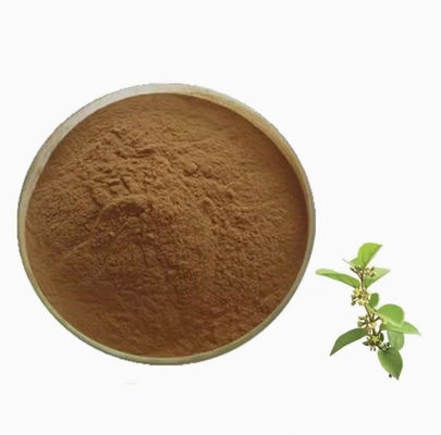 Extracto vegetal Gymnema Sylvestre Extract CAS NO 90045-47-9 Extracto de raiz ou de ervas em pó