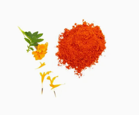 Luteína natural 5% 20% em pó CAS n.o 127-40-2 Pigmento natural em pó para alimentos para animais
