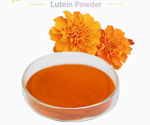 Luteína natural 5% 20% em pó CAS n.o 127-40-2 Pigmento natural em pó para alimentos para animais