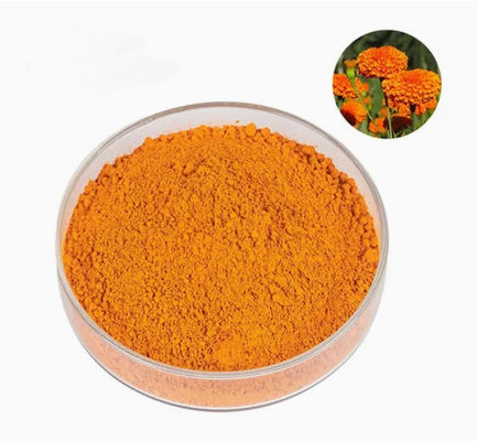 Luteína natural 5% 20% em pó CAS n.o 127-40-2 Pigmento natural em pó para alimentos para animais