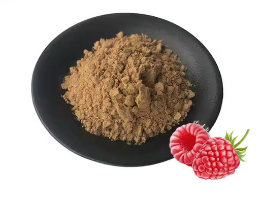 Extracto de framboesa natural 10/1 CAS NO 38963-94-9 Extracto puro em pó