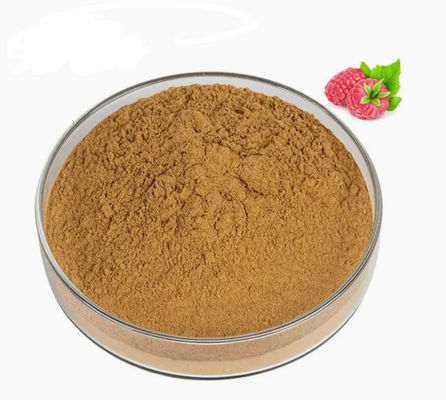 Extracto de framboesa natural 10/1 CAS NO 38963-94-9 Extracto puro em pó