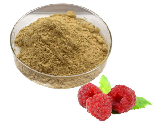 Extracto de framboesa natural 10/1 CAS NO 38963-94-9 Extracto puro em pó