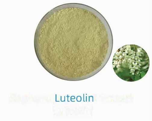 Extracto de plantas naturais Luteolina 98% CAS NO 491-70-3 HPLC Pó anti-vírus Luteolina