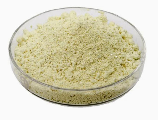 Extracto de plantas naturais Luteolina 98% CAS NO 491-70-3 HPLC Pó anti-vírus Luteolina