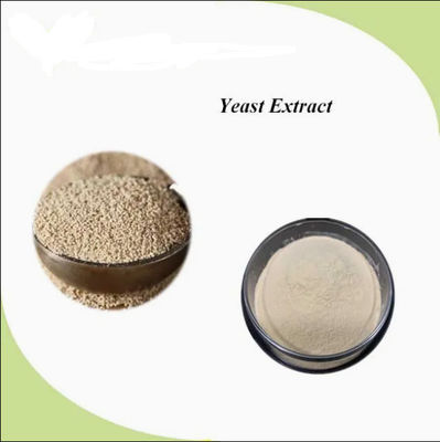 Extrato de Levedura Natural 100% Certificado ISO CAS NO 8013-01-2 Intensificadores de Sabores Alimentares