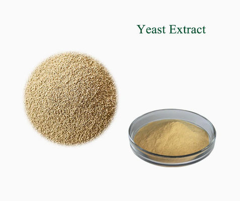 Extrato de Levedura Natural 100% Certificado ISO CAS NO 8013-01-2 Intensificadores de Sabores Alimentares