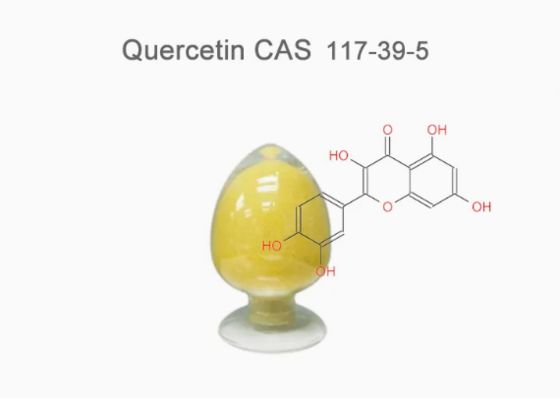 Extracto vegetal de qualidade farmacêutica Quercetina Anidra CAS NO 117-39-5 Pó amarelo