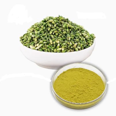 Extracto vegetal de qualidade farmacêutica Quercetina Anidra CAS NO 117-39-5 Pó amarelo